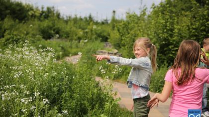 Kinderen-Klimop-naar-Vlindertuin-Bosserhof-3911