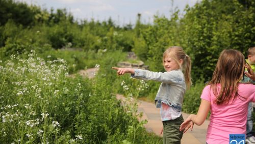 Kinderen-Klimop-naar-Vlindertuin-Bosserhof-3911