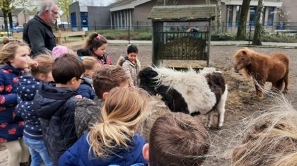 Kinderen-van-Basisschool-De-Bongerd-brengen-bezoek-aan-dierentuintje-Florastraat Kinderen-van-Basisschool-De-Bongerd-brengen-bezoek-aan-dierentuintje-Florastraat