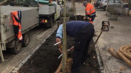 Klinkers-wijken-voor-bomen-en-planten-bij-De-VLiK-Ospel Klinkers-wijken-voor-bomen-en-planten-bij-De-VLiK-Ospel