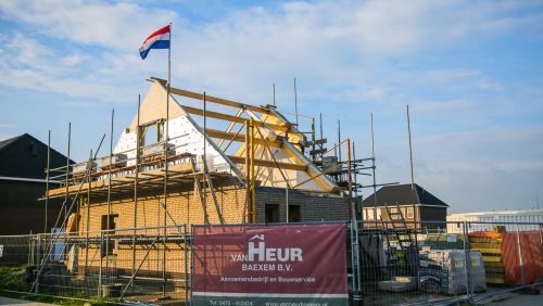 Kolonelwonging-C-Hoebenakker-Nederweert-1