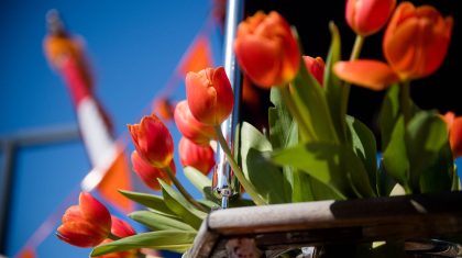 Koningsdag-Weert-2021-Johan-Horst-5