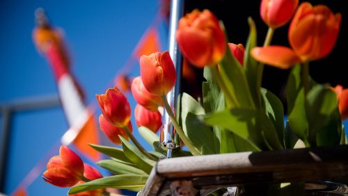 Koningsdag-Weert-2021-Johan-Horst-5