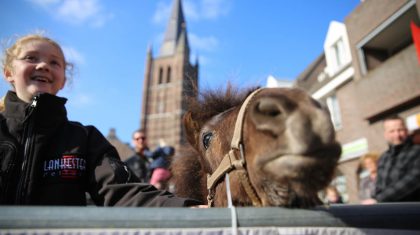 Koopzondag-Nederweert-2016-32