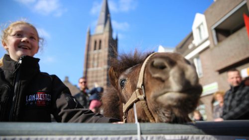 Koopzondag-Nederweert-2016-32