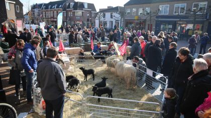 Koopzondag-Nederweert-2016-43