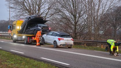 Kopstaartbotsing-N266-Nederweert-1