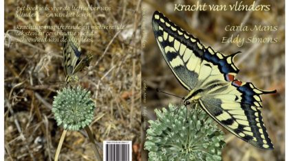Kracht-van-vlinders