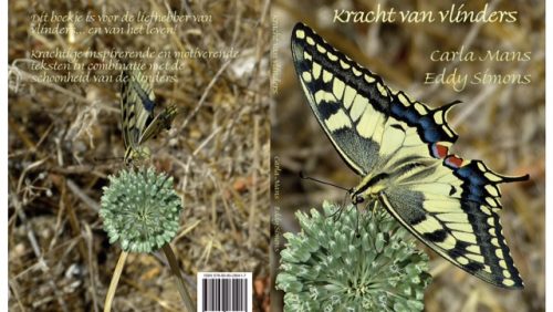 Kracht-van-vlinders