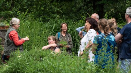 Kruiden-en-fotografiewandeling-in-De-Groote-Peel-Frits-Vossen