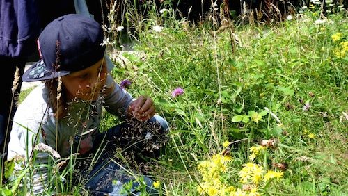 Kruidenworkshop-De-Pelen