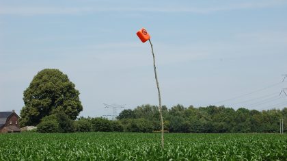 LLTB-opent-jacht-op-hennep LLTB-opent-jacht-op-hennep