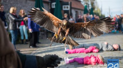 Valkenier Eynderhoof Nederweert-Eind
