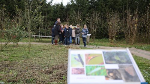 Leerlingen-Klimop-naar-Bosserhof-Nederweert-7402