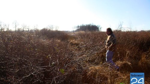 Lei Reemers over zijn passie voor vlinders