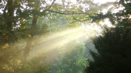 Lezing-Lichter-Leven