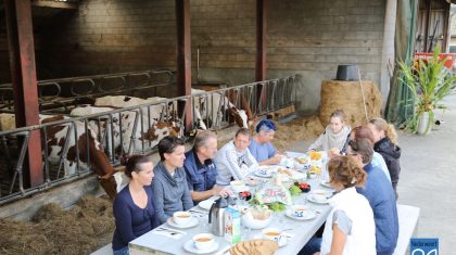 Lunch-tussen-de-Koeien-6200-1