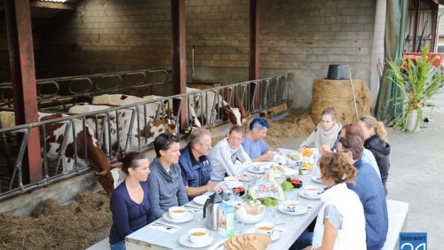 Lunch-tussen-de-Koeien-6200-1