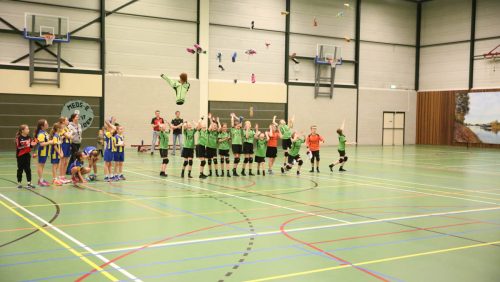 MEOS-E-jeugd-handbal-kampioen-2016-2017-43