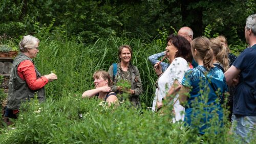 Maak-kennis-met-de-flora-van-De-Groote-Peel