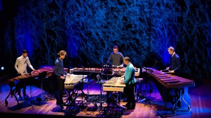 Mallet-Collective-meets-the-Next-Generation