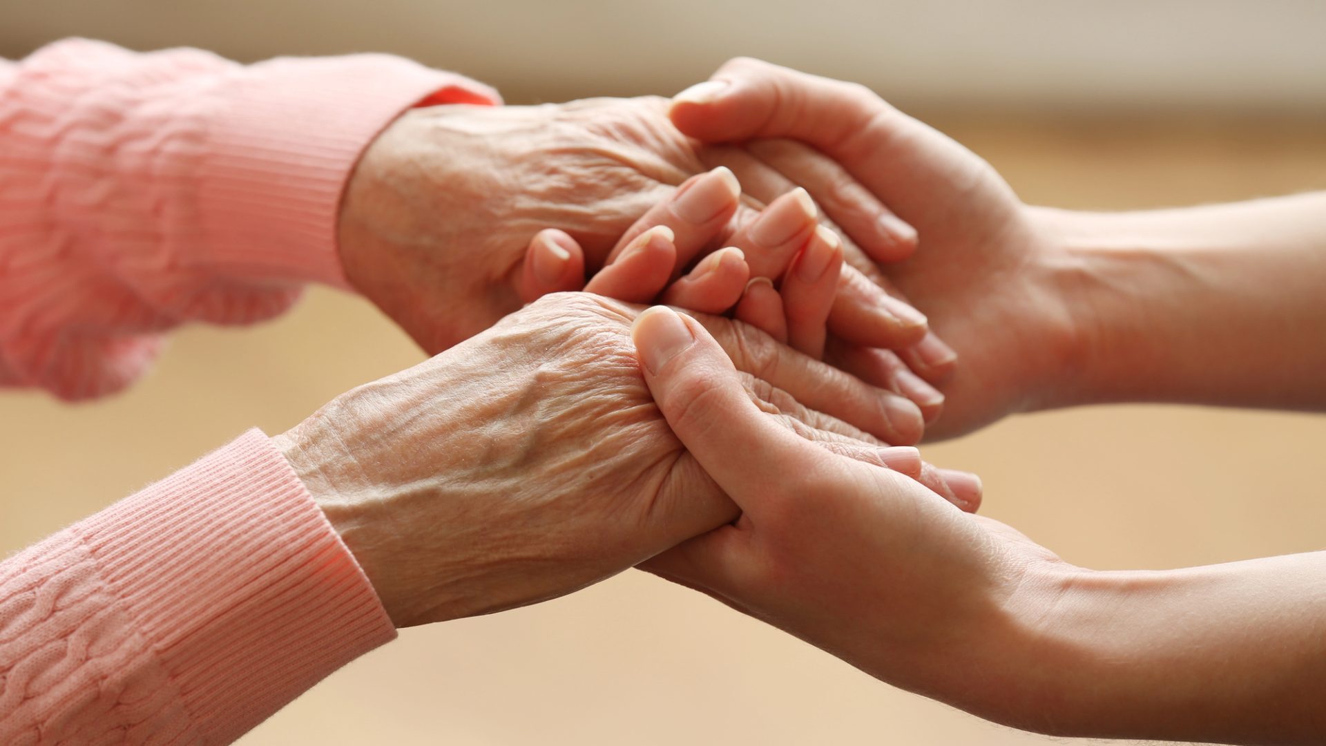 Foto | depositphotos.com - belchonock