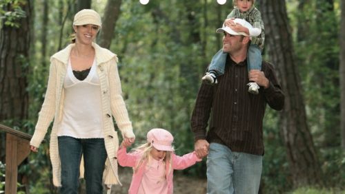 Meer-ruimte-voor-bomen-in-de-IJzeren-Man