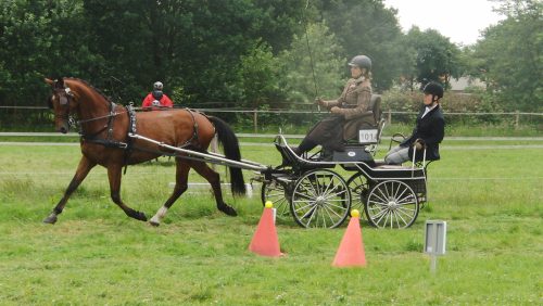 Menwedstrijd-Manege-de-Kraal-Nederweert