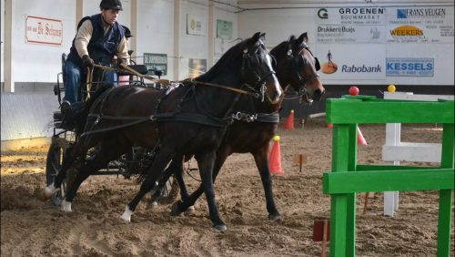 Menwedstrijd-manege-De-Kraal