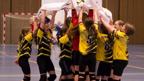 Merefeldia-DC1-kampioen