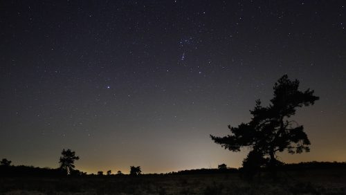 Orion at the night sky
With Lepus and Canis major beneath its feet.