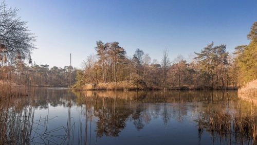 Natuur-en-Milieucentrum-Weert