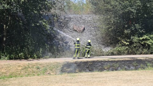 Natuurbrand-Julianalaan-Weert-5