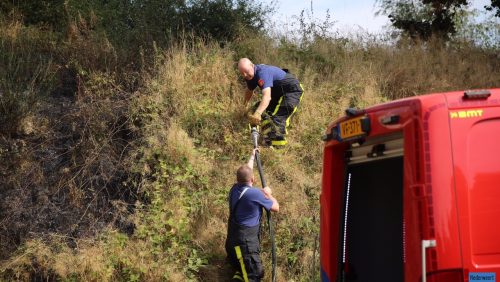 Natuurbrandje-Steer-1