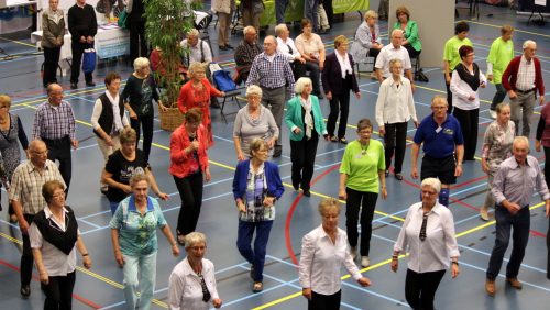 Nederweert-Vitaal-2013-010