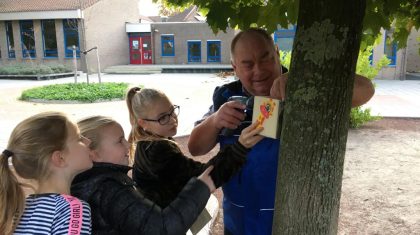Nestkastjes-opgehangen-bij-basisscholen-Nederweert-4 Nestkastjes-opgehangen-bij-basisscholen-Nederweert-4