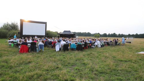 Ode-aan-de-Peel-bij-Philomenahoeve-Nederweert-Eind-4