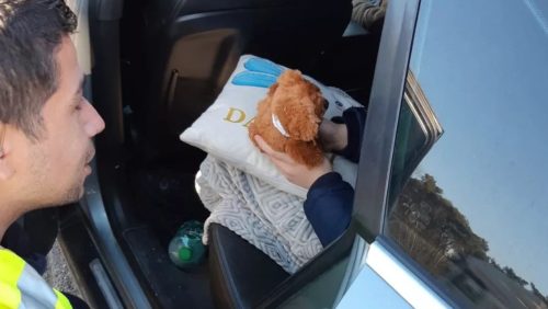 Oekraiense-vluchteling-loopt-in-paniek-over-A67-bij-Someren