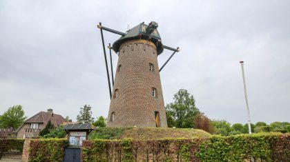 Onderhoud-Korenbloemmolen-Ospel-1