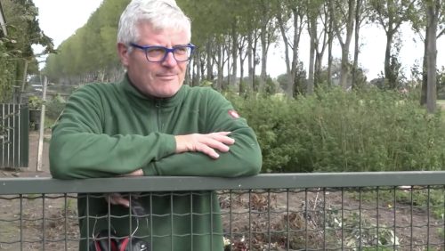 Ongerwaeg-en-de-duizendknoop-in-Nederweert-Eind