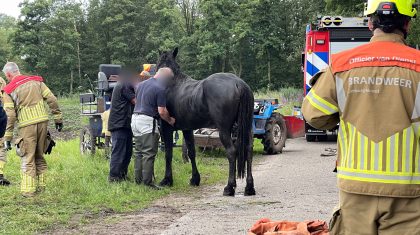 Ongeval-paard-en-koets-Visdijk-Nederweert-Eind-4