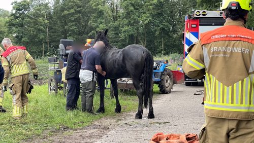 Ongeval-paard-en-koets-Visdijk-Nederweert-Eind-4