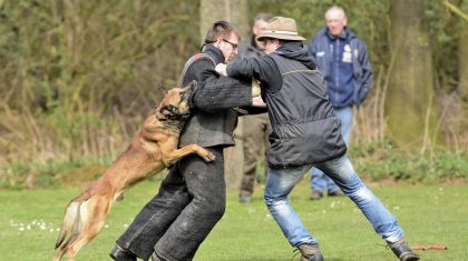 Ons-Genoegen-St-Anna-271-van-381