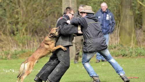 Ons-Genoegen-St-Anna-271-van-381