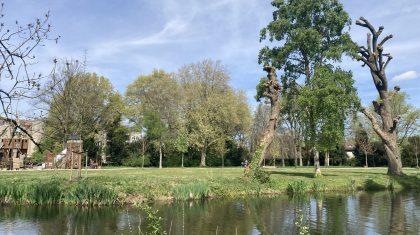 Ontdek-de-biodiversiteit-in-de-binnenstad-van-Weert-