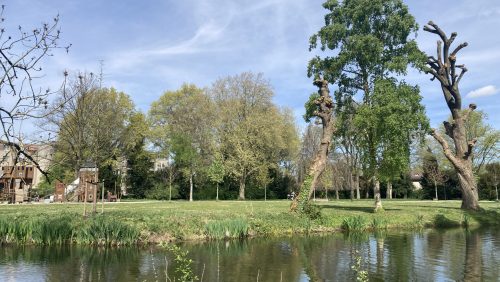 Ontdek-de-biodiversiteit-in-de-binnenstad-van-Weert-
