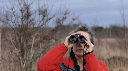 Op-zoek-naar-‘wintergasten-in-Nationaal-Park-De-Groote-Peel Op-zoek-naar-‘wintergasten-in-Nationaal-Park-De-Groote-Peel