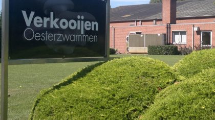 Open-dag-Verkooijen-Oesterzwammen-113