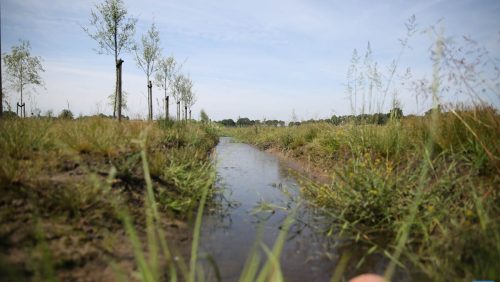 Opening-Rowven-Nederweert-Eind-natuur-4