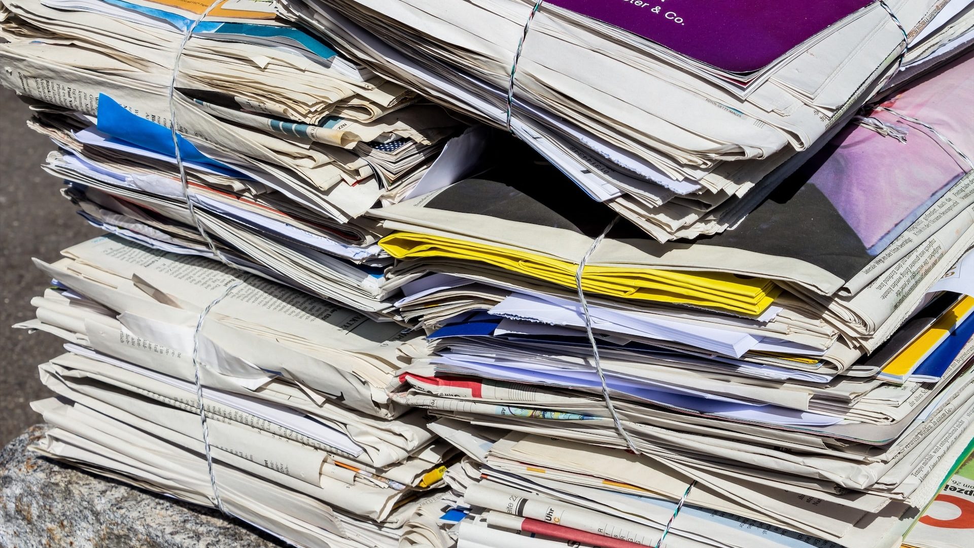 Foto | ginasanders - depositphotos.com